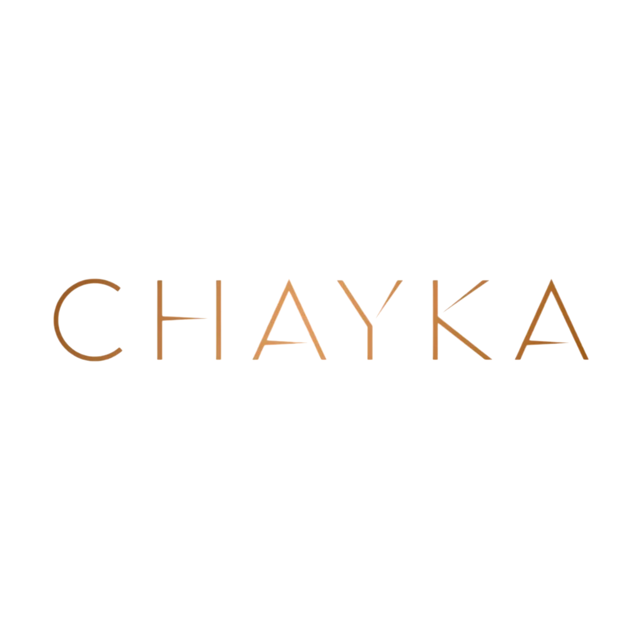 chayka-logo